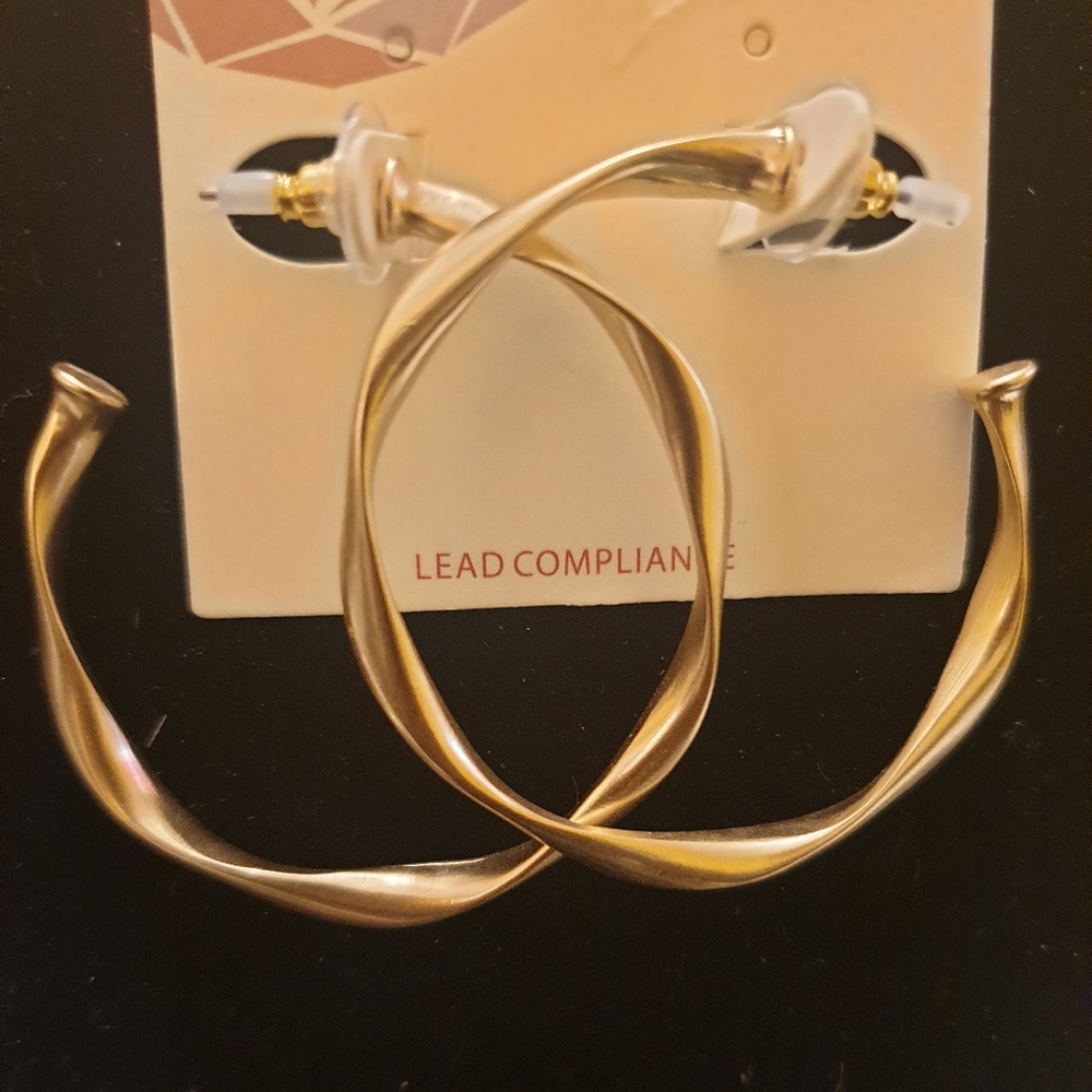 Hoop Earrings
